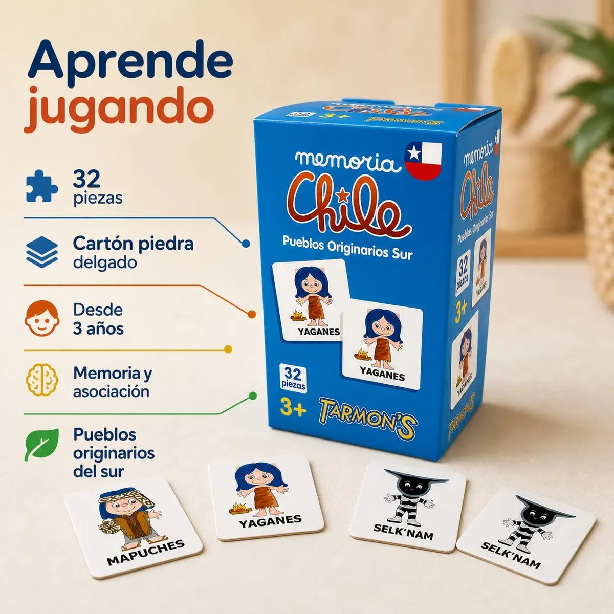 Memorice Pueblos Originarios Sur